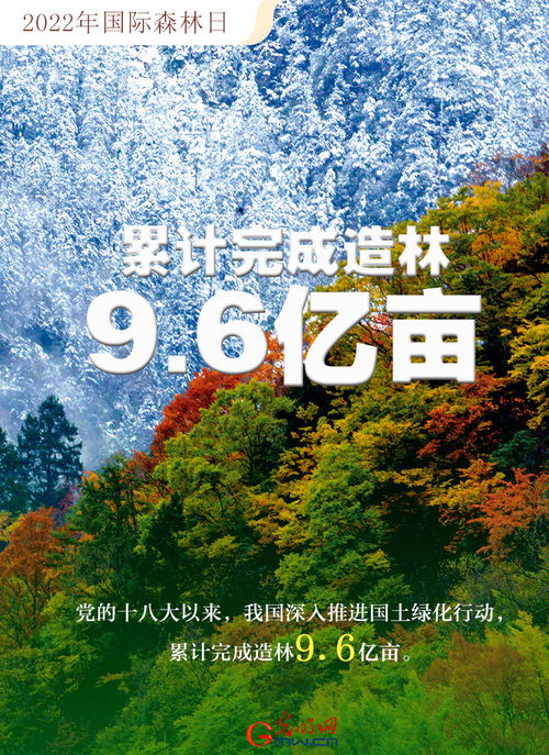 深入了解中国国土资源部，职责、成就与未来展望