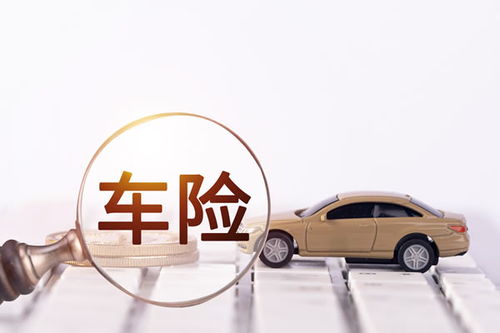全面解析，车辆保险一年的费用及影响因素
