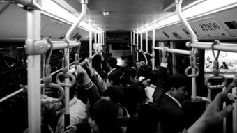 外地人在北京，融入与挑战，北京生活的双重奏