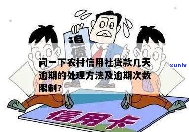 信用社借款，轻松获取资金，实现梦想的可靠途径