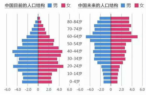 女性退休年龄，理解、影响与未来展望