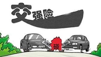 汽车交强险，保障与责任的桥梁
