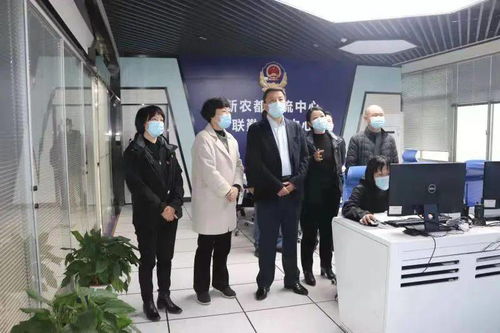 嘉兴疫情动态，深入了解最新情况与应对措施