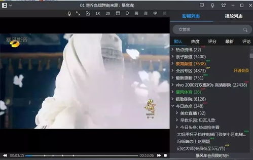 成人影片专用播放器，技术、法律与道德的交汇点
