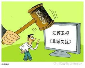 非诚勿扰商标侵权争议及其法律影响