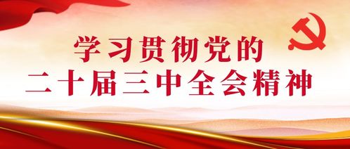 深化农村改革，推动农业现代化 党的十七届三中全会精神解读