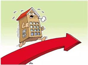 桦甸二手房市场深度解析，投资与自住的双重视角
