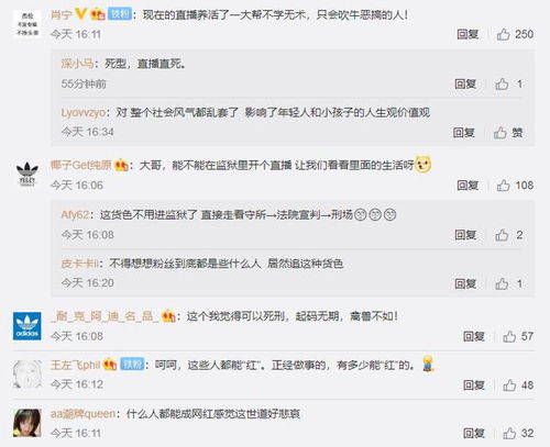 从网红乞丐哥被抓看网络直播的法律边界与社会责任