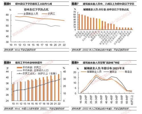 深入解析国家补贴政策，影响、实例与未来趋势