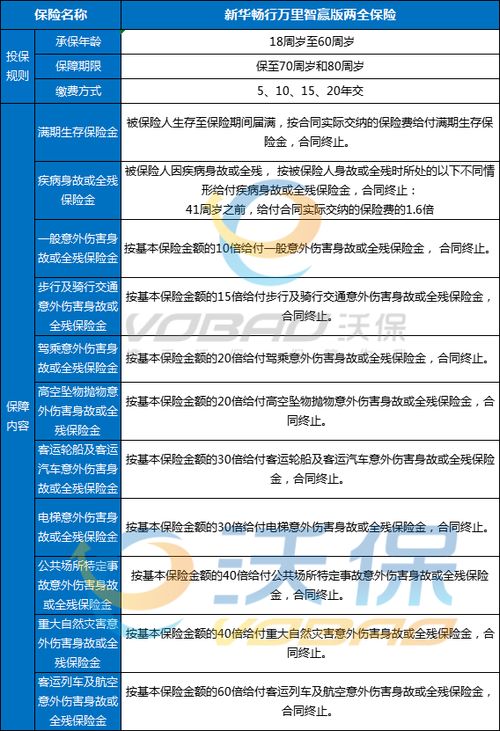 深入了解交强险，保障内容与重要性