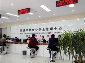 中山社保局，服务升级，保障民生新举措