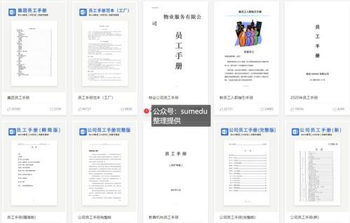 打造和谐团队，员工管理规章制度的魔法
