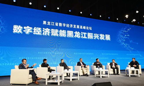 黑龙江省物价局，守护经济平衡的经济卫士