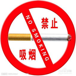 绿皮车禁烟，健康与便利的平衡艺术