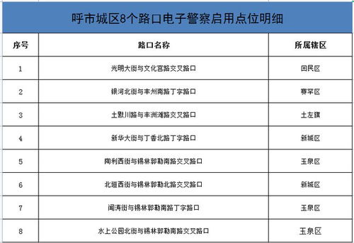上海电子警察查询，智能交通管理与个人出行安全