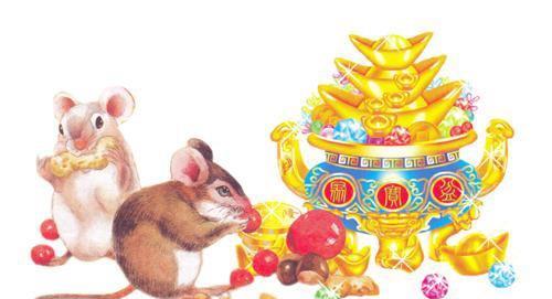 老鼠的节俭之道，揭秘它们如何巧妙存粮