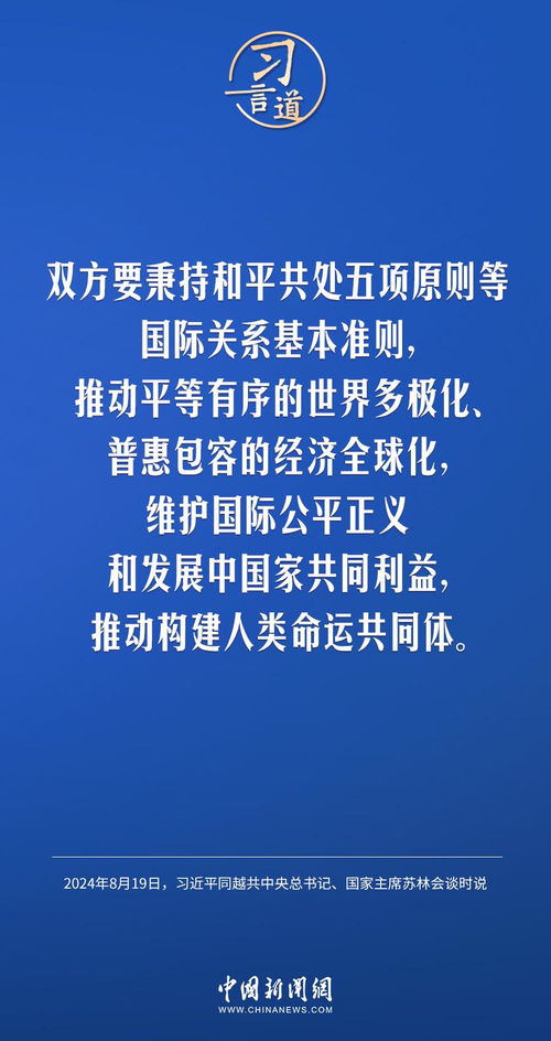 深入解读背靠背，含义、应用及其在现代生活的影响