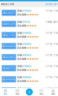 广西交通违章查询网，便捷查询与违章处理指南