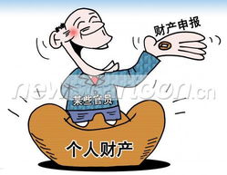 透明之光，官员财产申报制度的全球实践与挑战