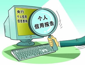 掌握未来，个人养老金缴费查询的指南与重要性