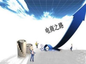 电子商务是什么，探索数字时代的购物革命