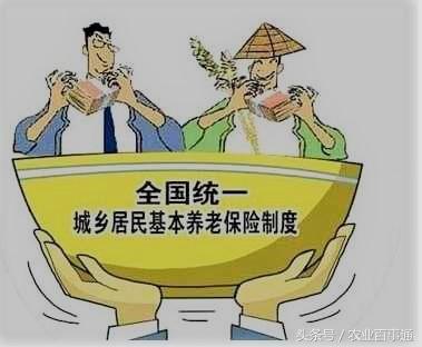 养老金充公，理解、影响与应对策略