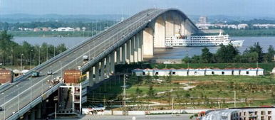 伊春市政府网，连接市民与服务的桥梁