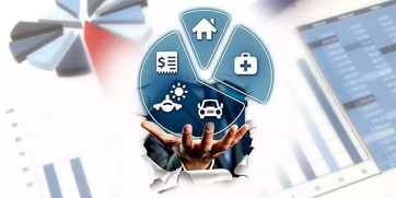 养老保险停交，应对策略与未来规划