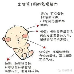 生育全攻略，从备孕到出生，一文了解生孩子的所有手续