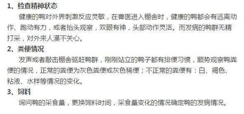 新房验收全攻略，细节决定成败