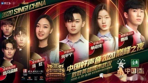 声音的魅力，探索动听中国声优的艺术与影响力