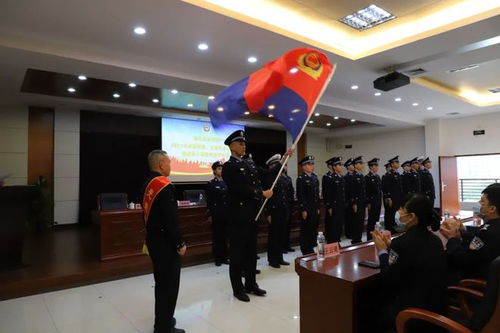 岱岳区公安局，守护平安，构建和谐社会的坚强后盾