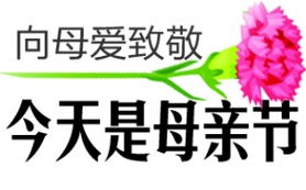 河北爱心妈妈服刑，一个关于牺牲、责任与社会支持的故事