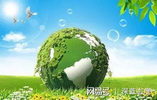 绿色行动，环境污染的防治措施与实践