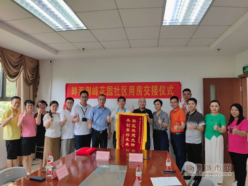 龙岗区卫生局，守护健康，构建和谐社区