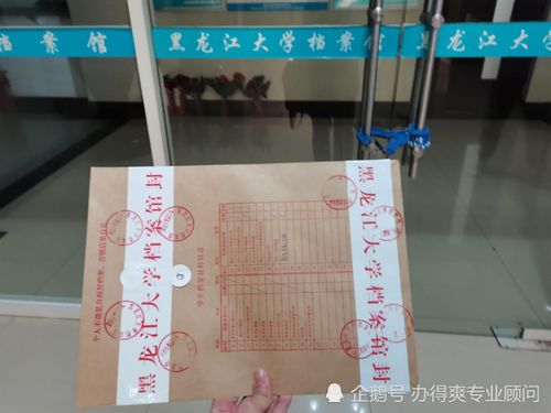 档案存放指南，人才市场档案保管期限与注意事项