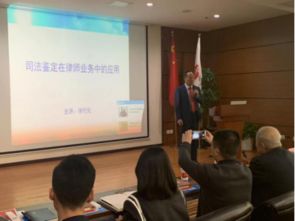 北京京师律师事务所，卓越法律服务的典范