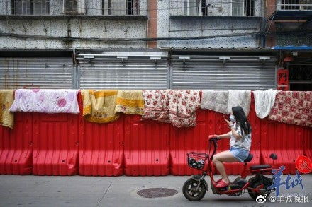 深圳交通管制，理解、应对与生活智慧