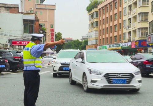 深圳交通管制，理解、应对与生活智慧
