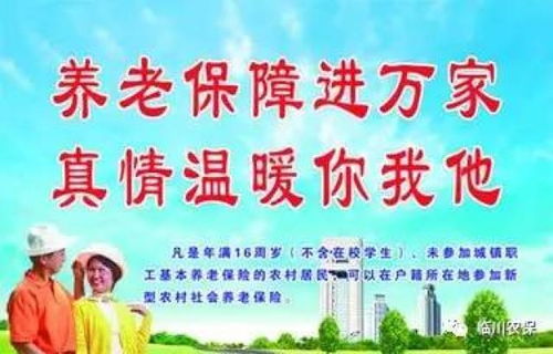农村养老保险，保障农民老年生活的安全网