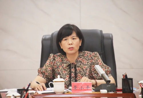 现实版小偷公司，揭秘职业盗窃团伙的运作与防范策略