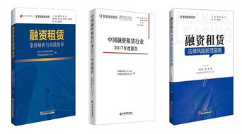 案件调查报告，全面解析与实践指南