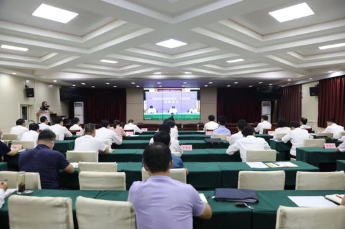 河北衡水，疫情新动态与防控措施全解析