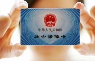 南海社保网，您的数字生活守护者