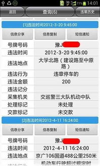 濮阳车辆违章查询，便捷、高效的交通管理助手