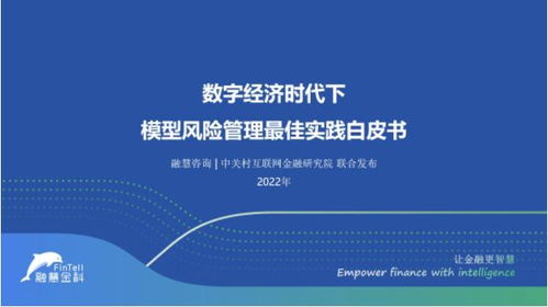合肥抵押贷款，金融创新与风险管理的平衡艺术