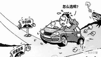 从交通事故案例图片中学习安全驾驶的重要性