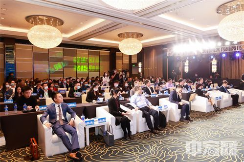 西安易贷网，金融科技的创新与挑战