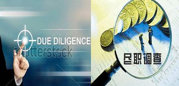 深入探究，尽职调查公司如何成为商业决策的关键力量