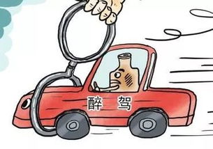 驶向危险，酒后驾车的危害与警示